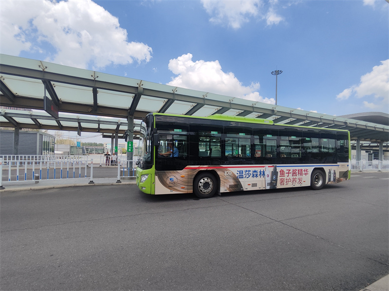 温莎森林鱼子酱公交车广告